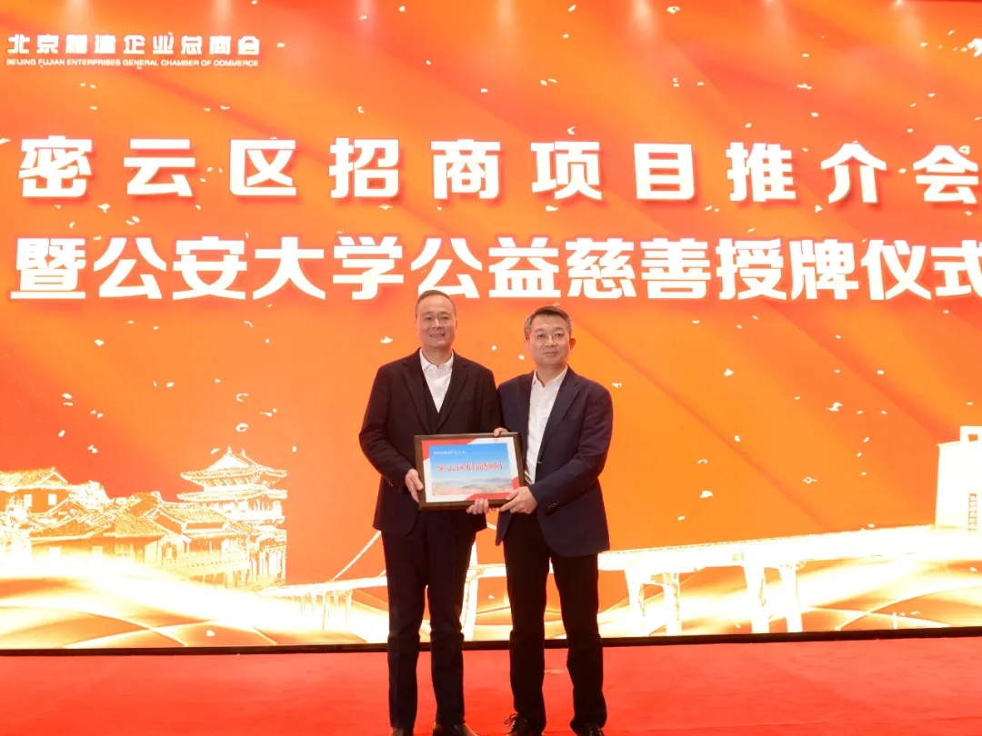 41.webp.jpg 41.webp.jpg