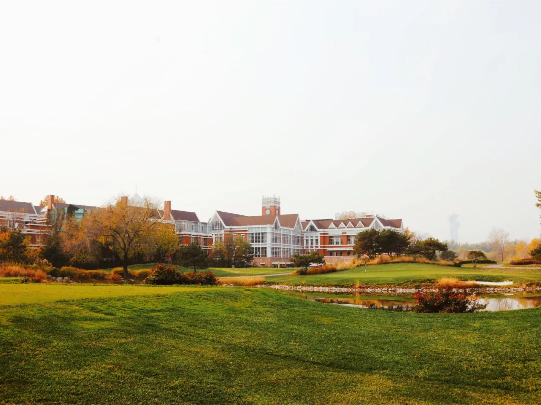 9.webp.jpg 9.webp.jpg