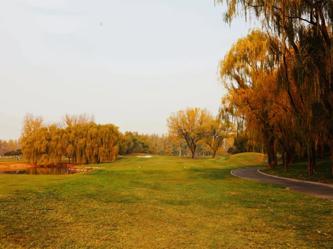 11.webp.jpg 11.webp.jpg