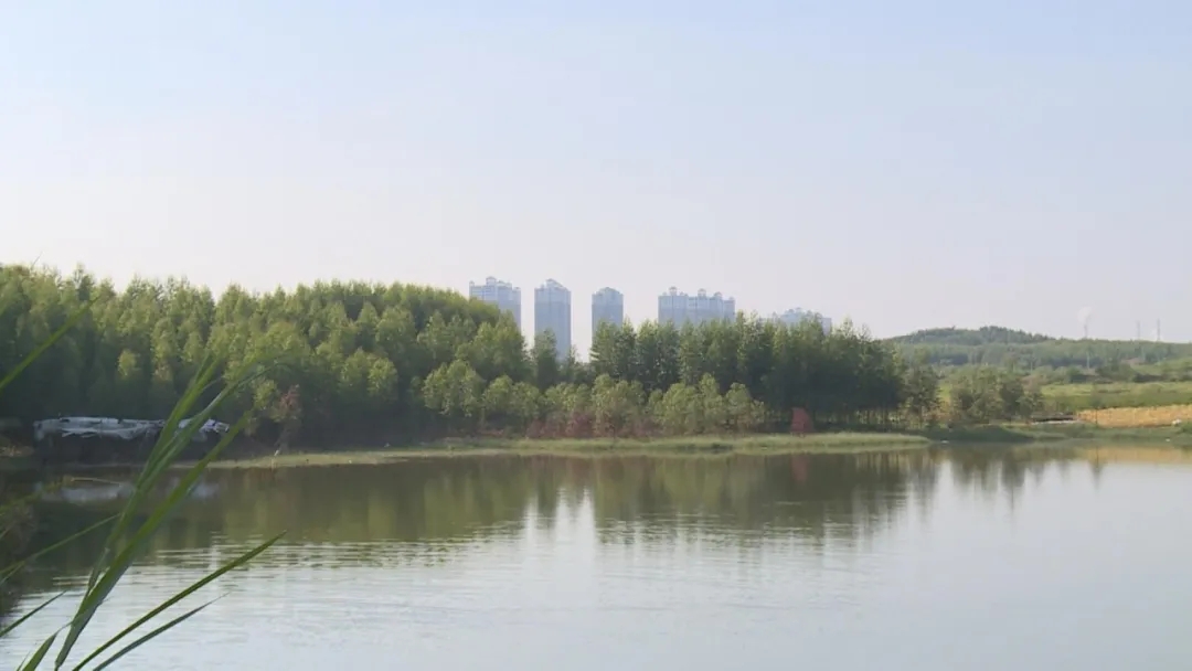 8.webp.jpg 8.webp.jpg