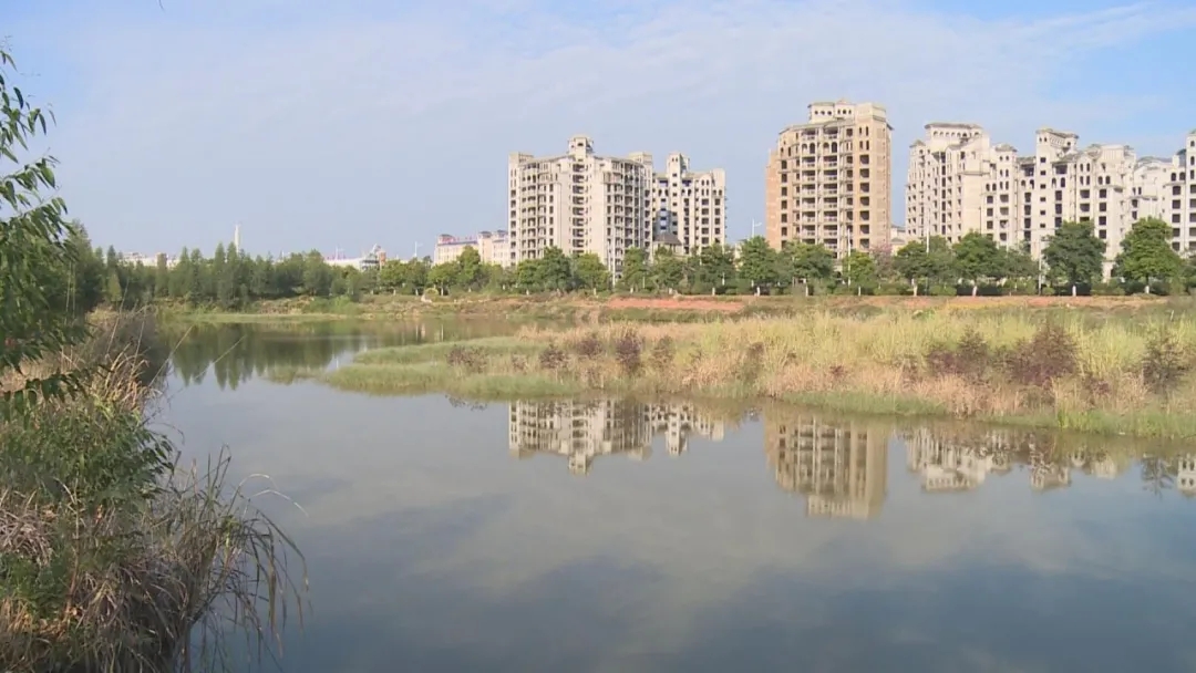 9.webp.jpg 9.webp.jpg