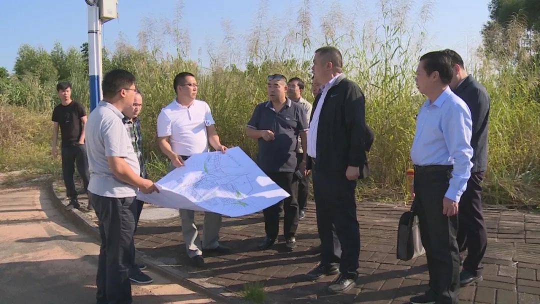 11.webp.jpg 11.webp.jpg